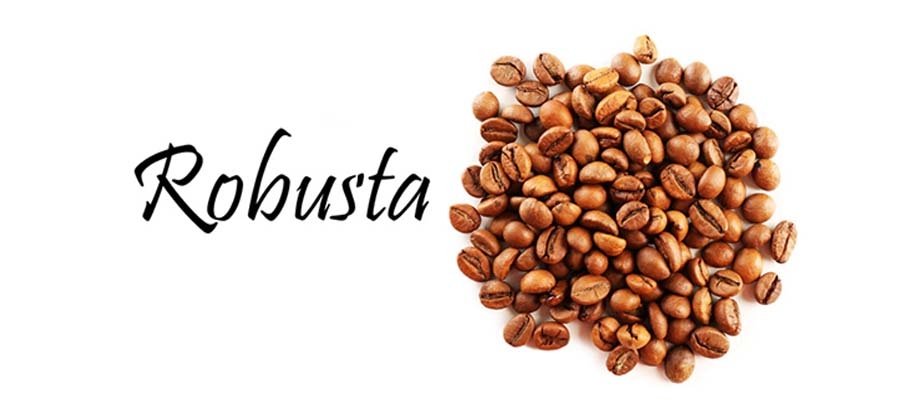 Μονοποικιλιακός Φρέσκος Καφές Robusta