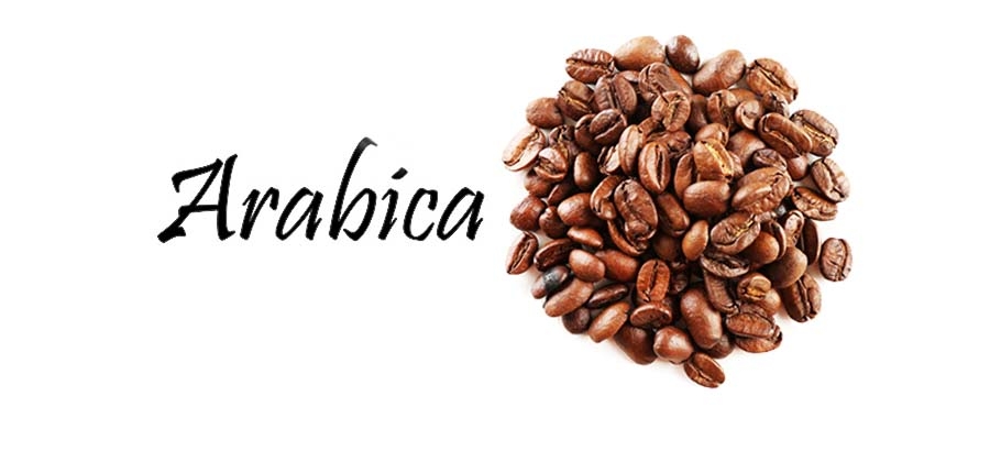 Μονοποικιλιακός Φρέσκος Καφές Arabica